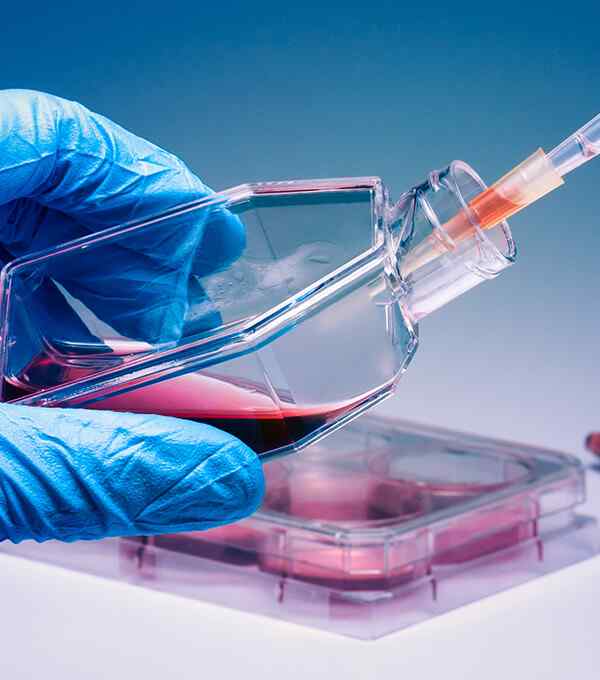 https://www.thalysbio.com.cn/wp-content/uploads/2020/04/service_5.jpg