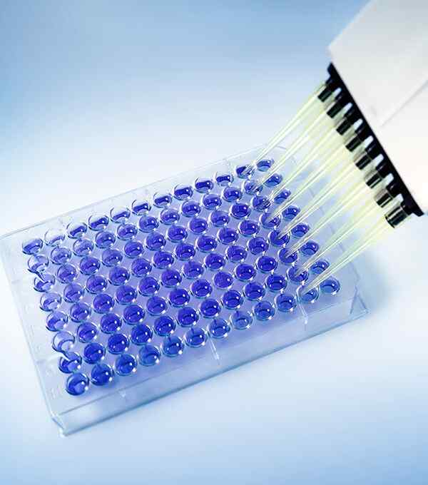 https://www.thalysbio.com.cn/wp-content/uploads/2020/04/service_7.jpg